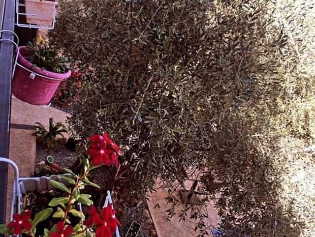 Bella Casetta Guest House Αμμόχωστος Εξωτερικό φωτογραφία